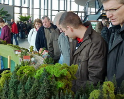 Bild15